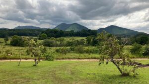 Reportage Afrique - Sur les traces des premiers Gabonais de la préhistoire