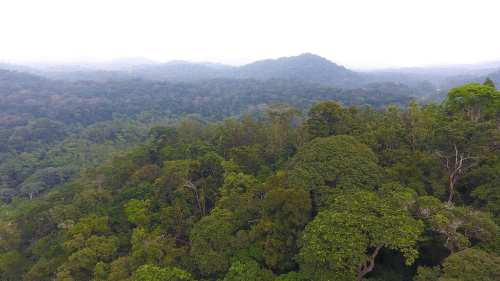 Un jour au village - La chasse traditionnelle chez les nzèbi du Gabon