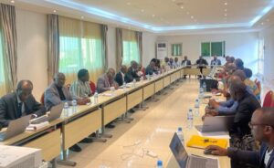 Modèle économique du projet eGabon-SIS : les experts proposent un prélèvement de 10% dans les recettes propres des structures hospitalières   -