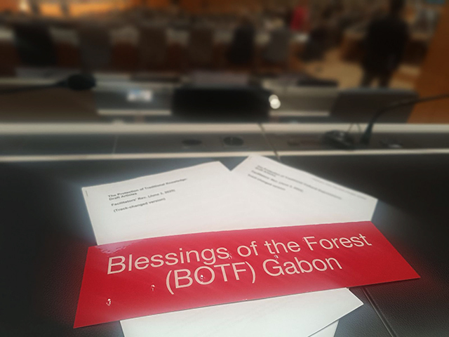Iboga : une plante médicinale qui porte l’âme du Gabon jusqu’aux USA | Gabonreview.com | Actualité du Gabon |