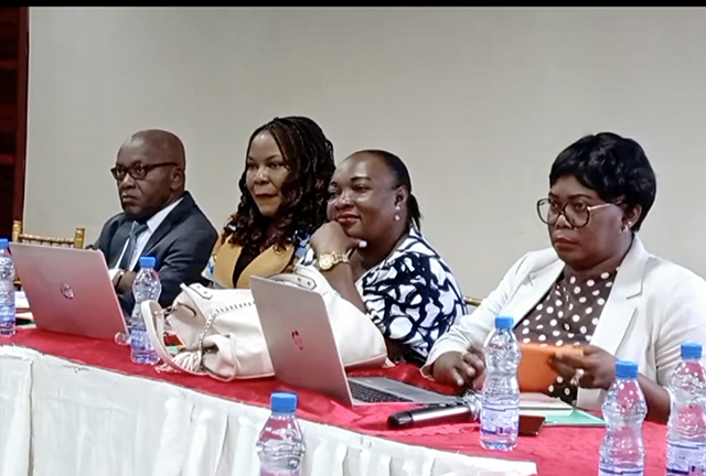 eGabon-SIS : le cadre légal obtient son passeport pour le ministère | Gabonreview.com | Actualité du Gabon |
