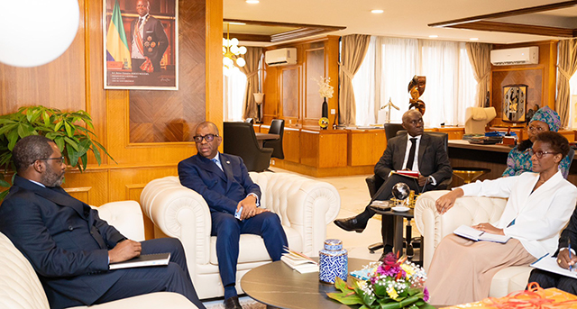 CAPS : un réseau de pipelines pour le transport pétrolier en zone CEMAC | Gabonreview.com | Actualité du Gabon |
