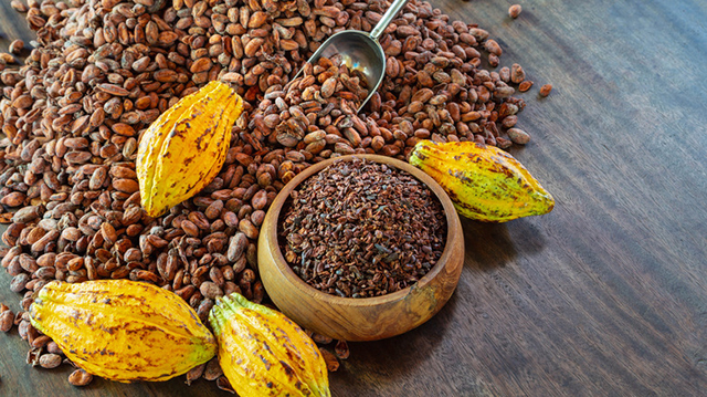 Gabon : forte progression des ventes de cacao et de café en un an | Gabonreview.com | Actualité du Gabon |