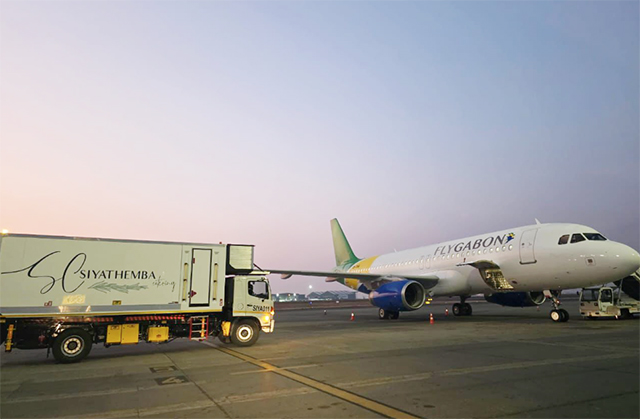 Transport aérien : FlyGabon muscle sa flotte et étend ses destinations avec un Airbus A320 | Gabonreview.com | Actualité du Gabon |