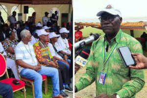 Médecine traditionnelle : Maghanga Ma Nzambe veut peser dans le débat national -