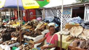 Gabon: inquiétude sur la situation des Béninois dans le pays