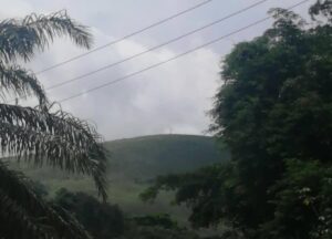 Saison sèche : Quelle fraîcheur cette année ! -