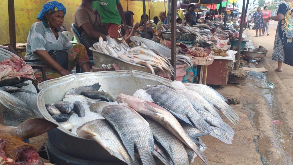 Gabon: l’absence de poisson dans les marchés questionne
