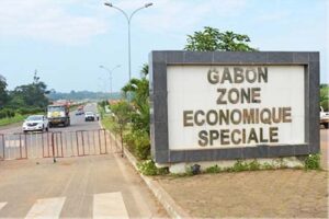 Un financement de 700 millions de dollars pour booster les parcs industriels africains d’ARISE IIP | Gabonreview.com | Actualité du Gabon |