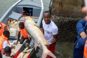 Gab Pêche : plus de 2 tonnes de poissons sur le marché 1 mois après | Gabonreview.com | Actualité du Gabon |