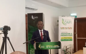 Libreville accueille les « Awards de la Marque OAPI » pour dynamiser les entreprises africaines | Gabonreview.com | Actualité du Gabon |