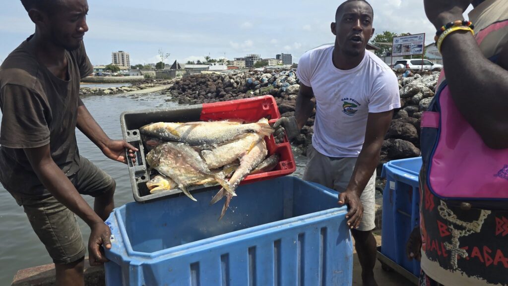 Gab Pêche : un deuxième débarquement salué comme un tournant pour la souveraineté alimentaire | Gabonreview.com | Actualité du Gabon |
