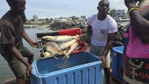 Gab Pêche : un deuxième débarquement salué comme un tournant pour la souveraineté alimentaire | Gabonreview.com | Actualité du Gabon |