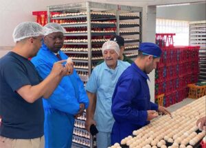 Secteur avicole : À Fellous Mabrouk, le Gabon s’inspire du modèle marocain pour bâtir sa filière durable | Gabonreview.com | Actualité du Gabon |