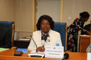 PLF 2026 : 320 milliards de FCFA de crédits d’investissement sollicités par l’Armée | Gabonreview.com | Actualité du Gabon |