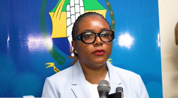 Irrégularités aux élections : le PDG entend bientôt se prononcer officiellement | Gabonreview.com | Actualité du Gabon |