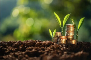 Contribution Souveraine Carbone : le Gabon engage le secteur aérien et maritime dans sa transition verte | Gabonreview.com | Actualité du Gabon |