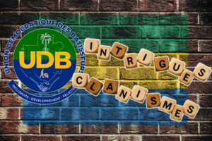 Élections sénatoriales, municipales et départementales : l’UDB face au spectre de ses propres divisions | Gabonreview.com | Actualité du Gabon |