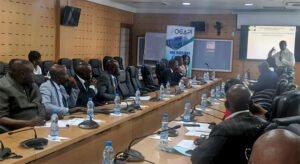 Indication géographique : la pierre de Mbigou bientôt consacrée patrimoine national protégé | Gabonreview.com | Actualité du Gabon |