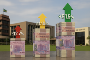 Les institutions gabonaises à l'épreuve de l'austérité : chronique d'une rigueur en trompe-l'œil | Gabonreview.com | Actualité du Gabon |