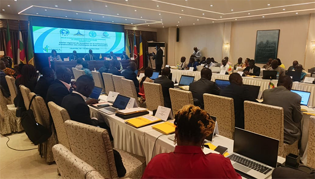 Bilan alimentaire Cemac : le Gabon veut muscler la souveraineté régionale | Gabonreview.com | Actualité du Gabon |