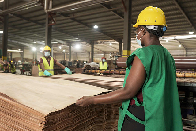 Industries du bois : repli des activités de 3,0% au T2 2025, les exportations et les commandes freinent l’activité  | Gabonreview.com | Actualité du Gabon |