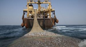 Filière halieutique : le Gabon largue les amarres de l’UE pour sa souveraineté économique | Gabonreview.com | Actualité du Gabon |