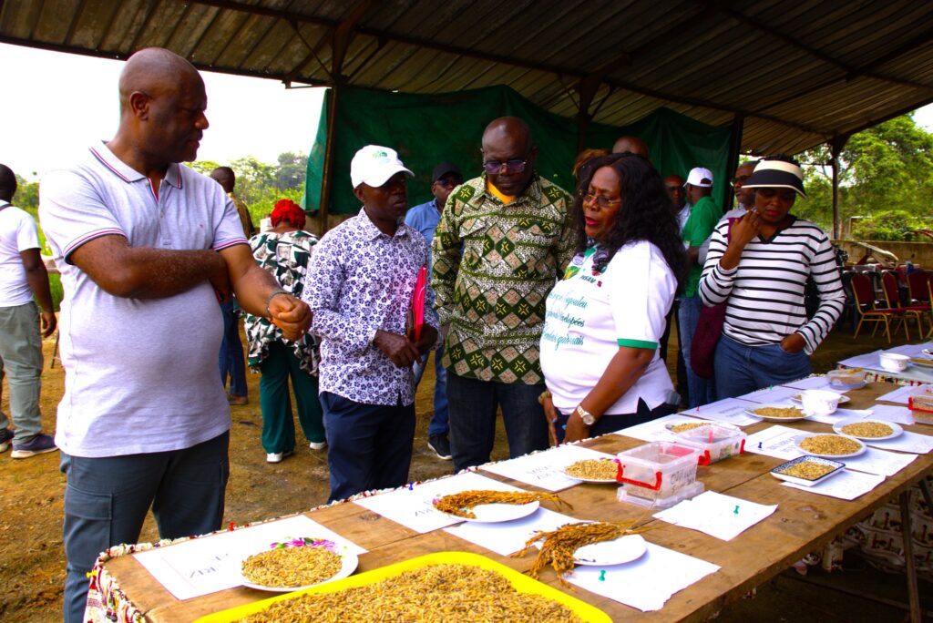 Innovation agricole : le Gabon avance vers l’autonomie semencière en riziculture | Gabonreview.com | Actualité du Gabon |