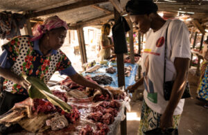Gabon : vers une filière légale de viande de brousse pour structurer l’économie rurale | Gabonreview.com | Actualité du Gabon |