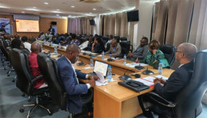 Artisanat : la pierre de Mbigou en route vers sa première indication géographique | Gabonreview.com | Actualité du Gabon |