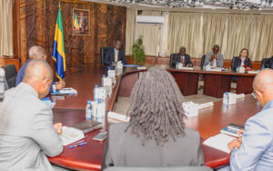 Interdiction du poulet importé : état des lieux d’une réforme sous contrainte de délais‎ | Gabonreview.com | Actualité du Gabon |