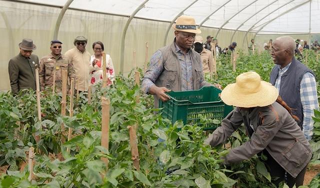 Gabon : suppression de la SAEG au profit d’Agropag pour une agriculture durable et inclusive | Gabonreview.com | Actualité du Gabon |