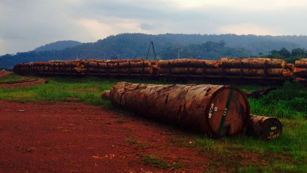 Afrique économie - Crise de la dette africaine: «Pour briser le cycle, il faut investir»